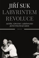 Labyrintem revoluce: Aktéři, zápletky a křižovatky jedné politické krize - Kniha