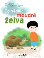 Co věděla moudrá želva - Kniha