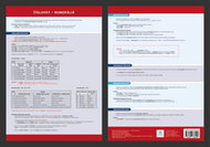 Prehľadová tabulka učiva Číslovky – numeráliá - Kniha