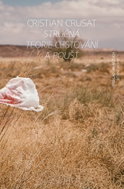 Stručná teorie cestování a poušť - Kniha