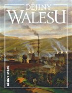 Dějiny Walesu - Kniha
