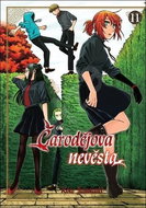 Čarodějova nevěsta 11 - Kniha