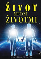 Život medzi životmi - Kniha