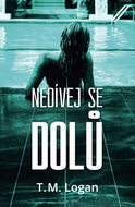 Nedívej se dolů - Kniha