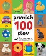 Prvních 100 slov - Kniha