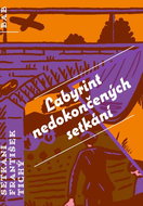 Labyrint nedokončených setkání - Kniha