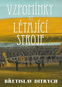 Vzpomínky na létající stroje - Kniha