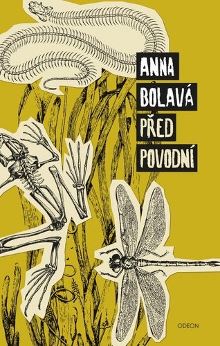 Před povodní - Kniha - Main image