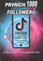 Prvních 1000 followerů: TikTok vyzkoušené a ověřené rady - Kniha