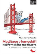 Meditace v kanceláři kalifornského mediátora: a jiné příhody české právničky - Kniha