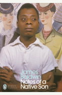 Notes of a Native Son - Kniha