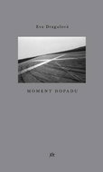 Moment dopadu - Kniha