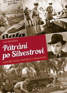 Pátrání po Silvestrovi - Kniha