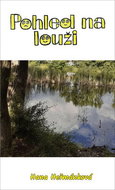 Pohled na louži - Kniha