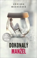 Dokonalý manžel - Kniha