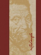 Velikán Michelangelo - Kniha