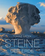 Steine der Erde - Kniha