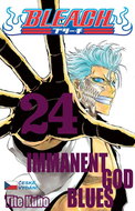 Bleach 24: Immanent God blues - Kniha