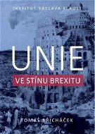 Unie ve stínu brexitu - Kniha
