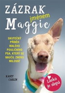 Zázrak jménem Maggie: Skutečný příběh malého pouličního psa Maggie, který se naučil znovu milovat - Kniha