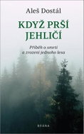 Když prší jehličí - Kniha