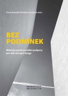 Bez podmínek: Metody psychosociální podpory pro lidi užívající drogy - Kniha