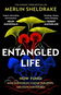 Entangled Life: How Fungi Make Our Worlds, Change Our Minds and Shape Our Futures - Kniha