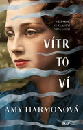 Vítr to ví: Cizinkou ve valstní minulosti - Kniha