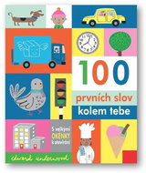 100 prvních slov kolem tebe  - Kniha
