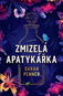 Zmizelá apatykářka  - Kniha