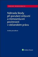 Náhrada škody při porušení smluvní a mimosmluvní povinnosti v občanském právu - Kniha