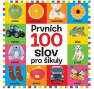 Prvních 100 slov pro šikuly - Kniha