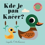Kde je pan Kačer? - Kniha