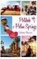 Polibek v Palm Springs: Letní romance - Kniha