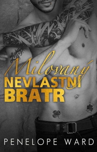 Milovaný nevlastní bratr - Kniha - Main image