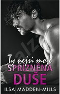 Ty nejsi moje spřízněná duše - Kniha