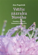 Vstříc zázraku Nového: Poselství největší kamenné koule světa - Kniha
