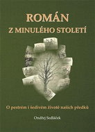 Román z minulého století: O pestrém a šedivém životě našich předků - Kniha