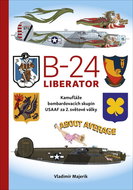 B-24 Liberator: Kamufláže bombardovacích skupin USAAF za 2. světové války - Kniha