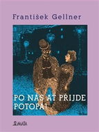 Po nás ať přijde potopa - Kniha