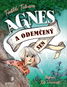 Agnes a odemčený sen - Kniha