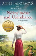 Něžný měsíc nad Usambarou: Pokračování románu Nebe nad Kilimandžárem - Kniha