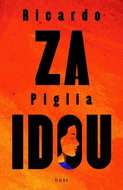 Za Idou - Kniha