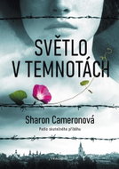 Světlo v temnotách - Kniha