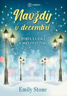 Navždy v decembri: Horúca láska v mrazivej zime - Kniha