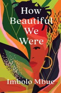 How Beautiful We Were - Kniha