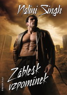 Záblesk vzpomínek - Kniha