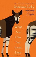 What You Can See From Here - Kniha