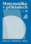 Matematika v příkladech 1 - Kniha