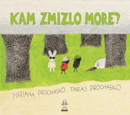 Kam zmizlo more? - Kniha